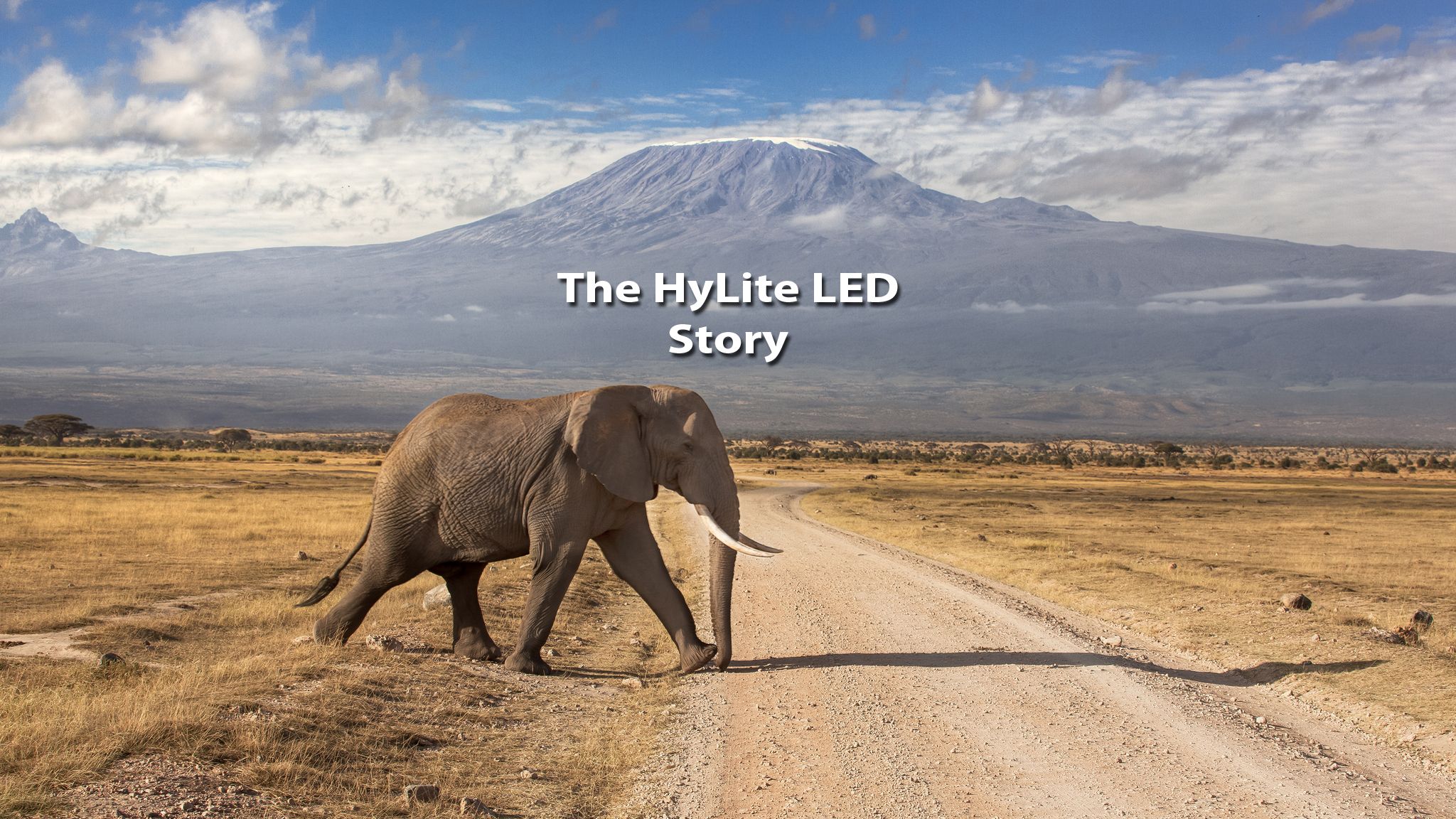 HyLite LED Lighting story and sustainability roots