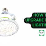 Your Guide to Switching from Incandescent to LED