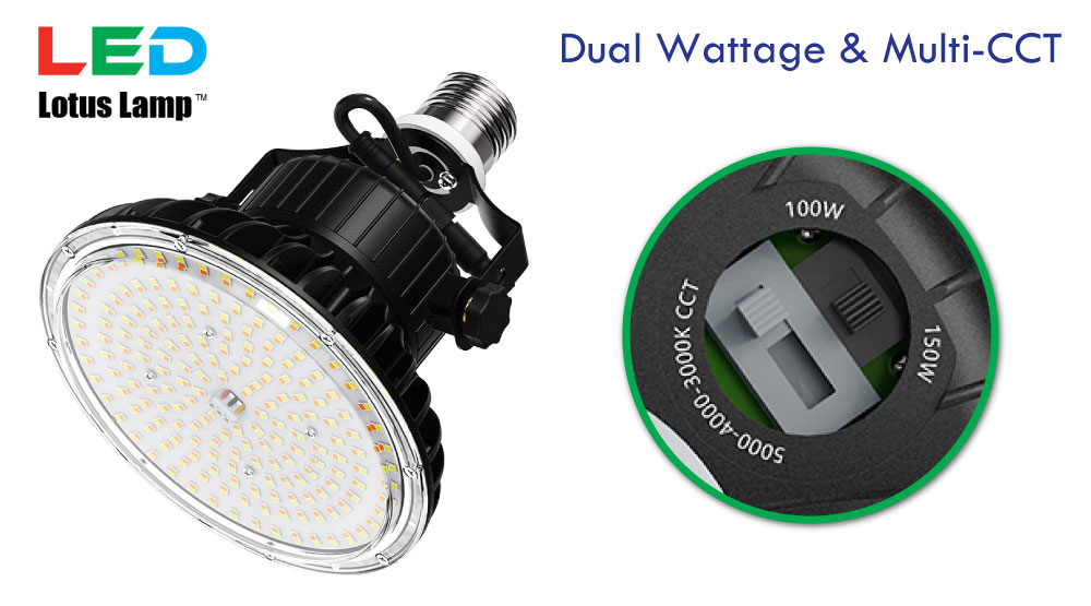 Dual-Wattage Lotus Lamp