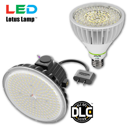 HyLite Lotus Lamps