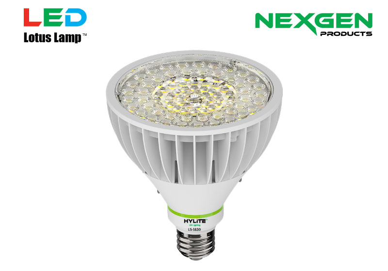 HyLite Lotus Lamp PAR38 LED retrofit lamp