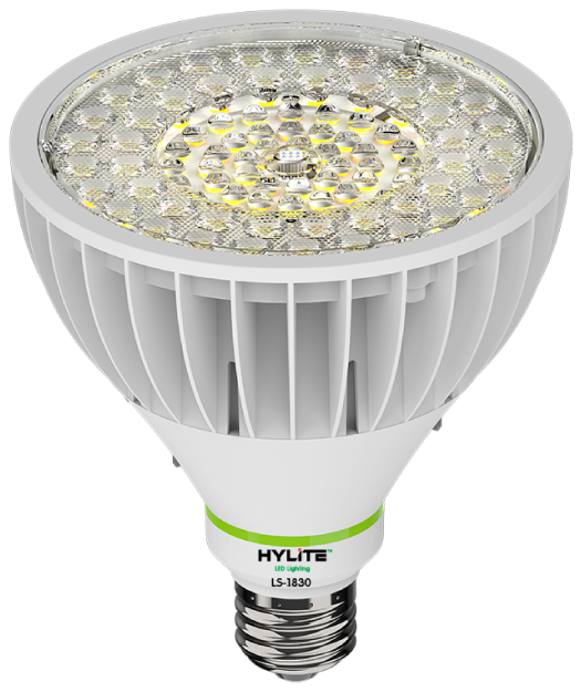 HyLite Lotus Lamp LS-1830 PAR38 specification image